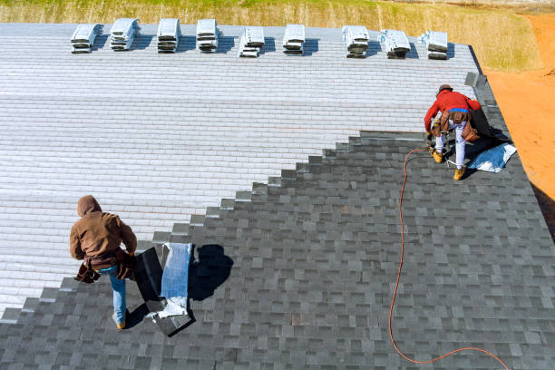 Best Flat Roof Repair Services  in Camanche, IA