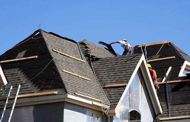 Best Gutter Installation and Roofing  in Camanche, IA