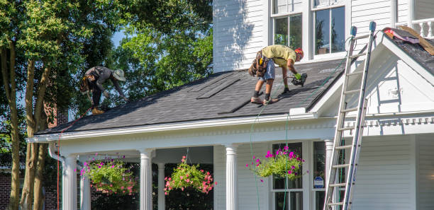 Best Roof Leak Repair  in Camanche, IA