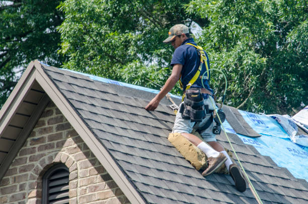 Best Roofing Contractors for Homes  in Camanche, IA